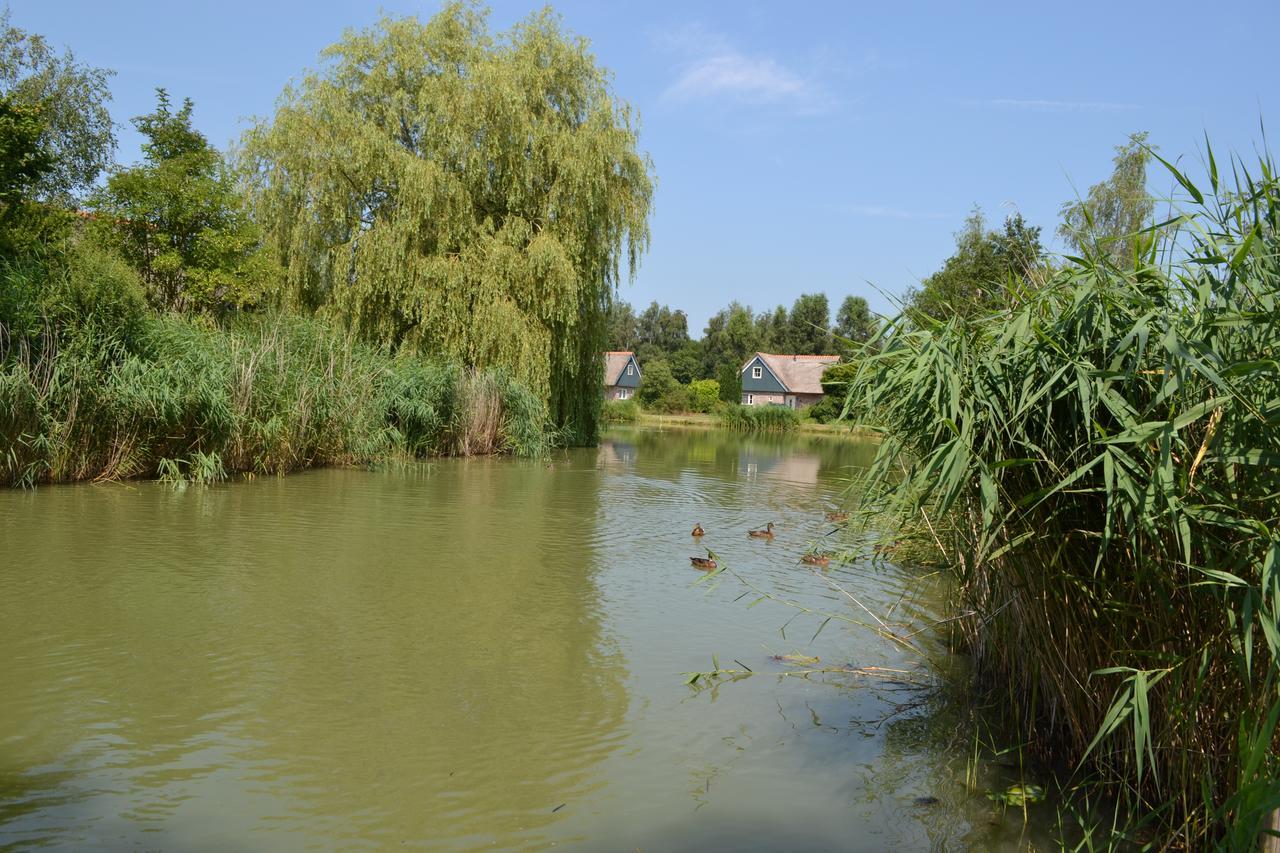 Paasloo Villapark De Weerribben المظهر الخارجي الصورة